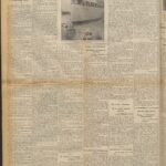 Badak Jawa Terakhir di Sindangkerta dan Cula Seharga 600 Gulden