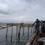 Nelayan Rugi, Pelaku Pagar Laut Nikmat dalam Jerat Oligarki