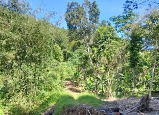 Suara-suara Warga dari Lokasi Rencana Proyek Geothermal Serang