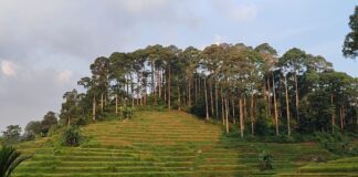 Kemandirian Pangan Kasepuhan Karang di Pusaran Energi Panas