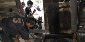 Manis Aren, Nafas Panjang Warga Sobang