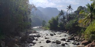 Ambisi Transisi Energi yang Membuat Warga Gunung Endut Resah