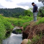 Walhi Kritik PSEL di Banten, Pengelolaan Sampah Dinilai Lompat ke Hilir