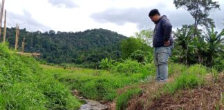 Walhi Kritik PSEL di Banten, Pengelolaan Sampah Dinilai Lompat ke Hilir