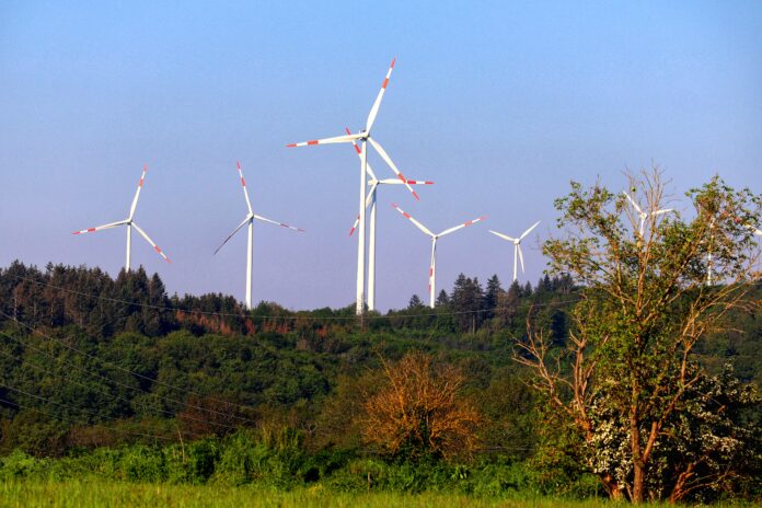tho-ge-windmill-7992415